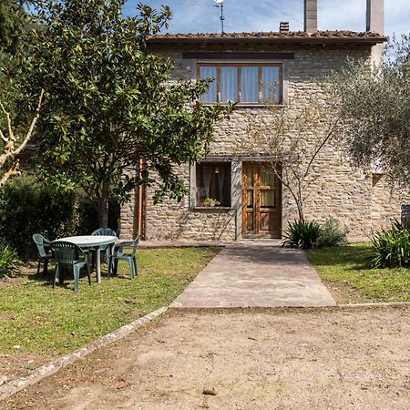 Agriturismo Il Ponte - Frantoio Vicchio Εξωτερικό φωτογραφία