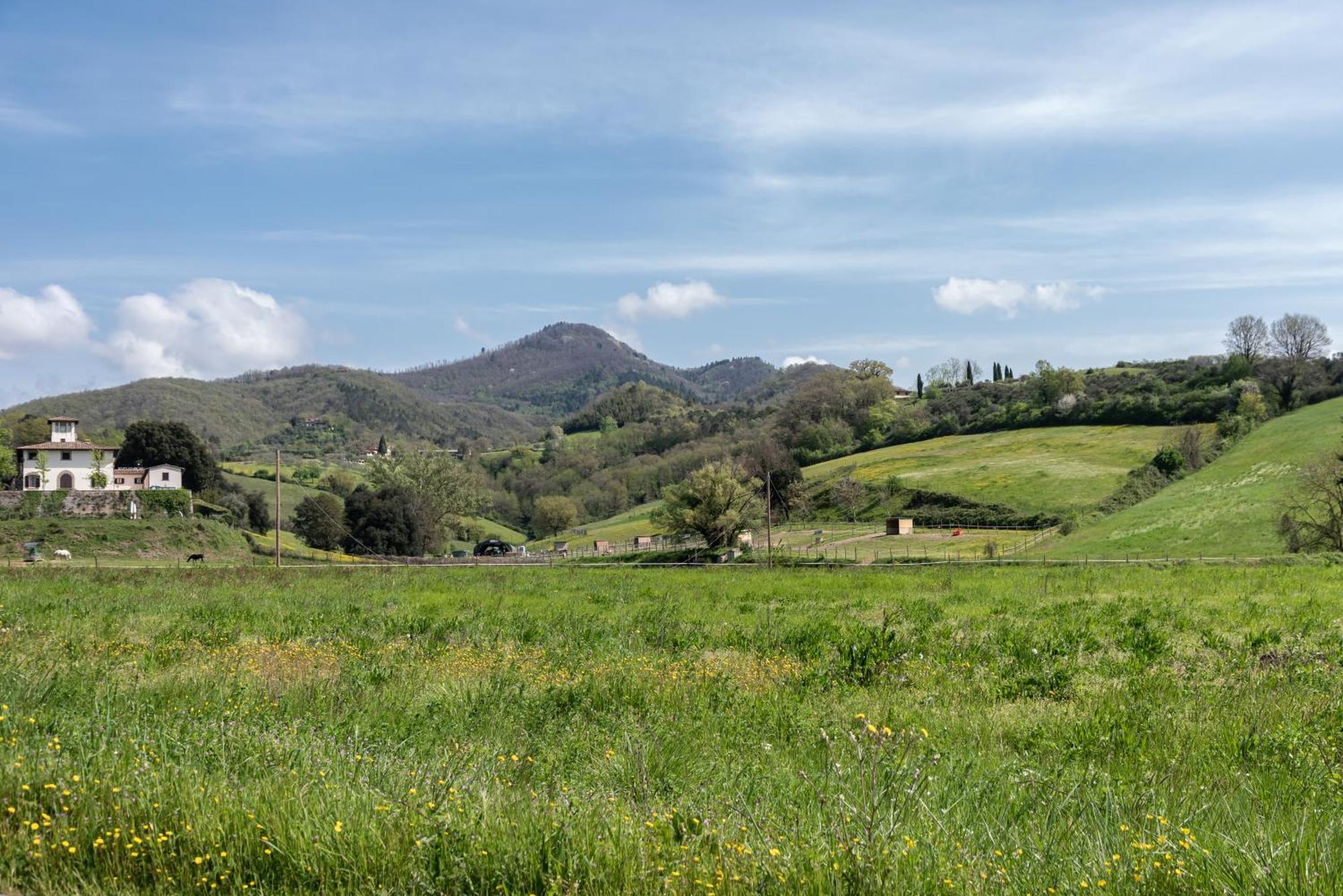 Agriturismo Il Ponte - Frantoio Vicchio Εξωτερικό φωτογραφία